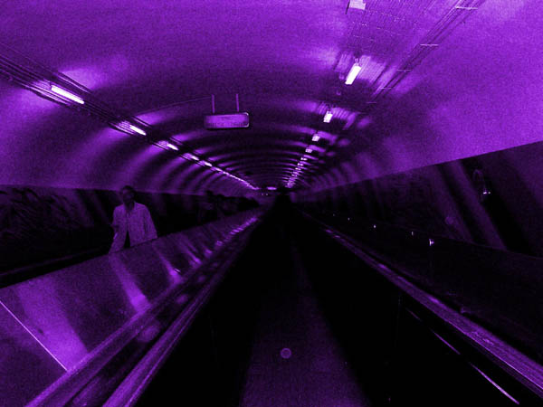 DSCN2020