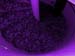 DSCN1992