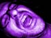 DSCN2041