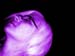 DSCN2061