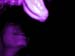 DSCN2065