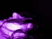 DSCN2068